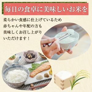 ふるさと納税 福岡県産 夢つくし 20kg 配...の詳細画像3