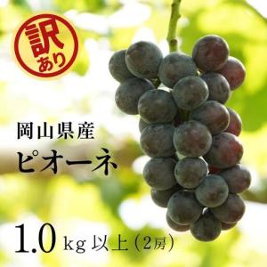 ふるさと納税 【訳あり】 ピオーネ 岡山県産ぶどう 訳ありピオーネ1.0kg以上（2房） 【kgftmt017-02】 岡山県真庭市
