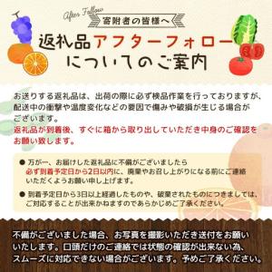 ふるさと納税 【訳あり】 ピオーネ 岡山県産ぶ...の詳細画像4