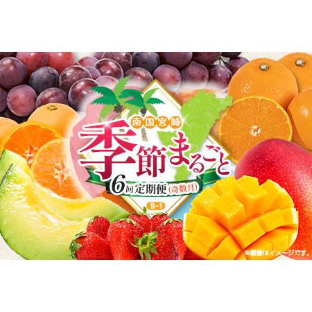 ふるさと納税 【奇数月 6回定期便】旬 人気 フルーツ 南国宮崎産 マンゴー ピオーネ いちご みか...