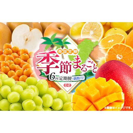 ふるさと納税 【偶数月 6回定期便】旬 人気 フルーツ 南国宮崎産 マンゴー 金柑たまたま シャイン...