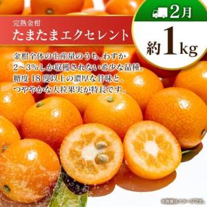 ふるさと納税 【10回定期便】旬 人気 フルー...の詳細画像3