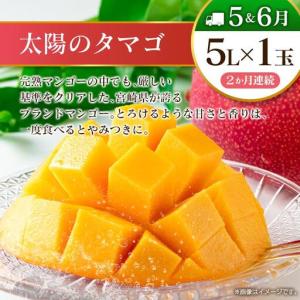 ふるさと納税 【10回定期便】旬 人気 フルー...の詳細画像4