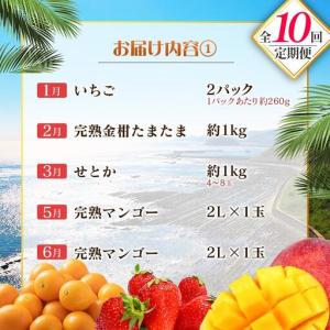 ふるさと納税 【10回定期便】旬 人気 フルー...の詳細画像1