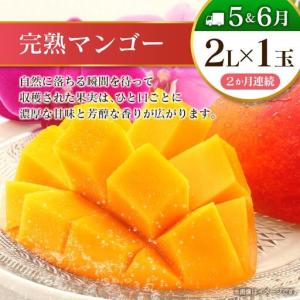 ふるさと納税 【10回定期便】旬 人気 フルー...の詳細画像3