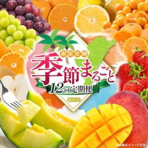 ふるさと納税 【12回定期便】旬 人気 フルーツ 南国宮崎産 太陽のタマゴ たまたまエクセレント シャインマスカット ピオーネ いちご みかん 日向夏 メ.. 宮崎県