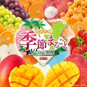 ふるさと納税 【12回定期便】旬 人気 フルーツ 南国宮崎産 マンゴー ライチ 金柑たまたまエクセレント シャインマスカット ピオーネ いちご みかん 梨 .. 宮崎県