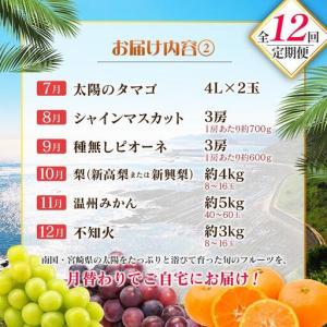 ふるさと納税 【12回定期便】旬 人気 フルー...の詳細画像2