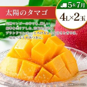 ふるさと納税 【12回定期便】旬 人気 フルー...の詳細画像4
