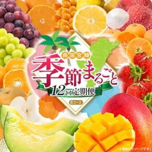 ふるさと納税 【12回定期便】旬 人気 フルーツ 南国宮崎産 マンゴー ライチ 金柑たまたま シャインマスカット ピオーネ いちご みかん 日向夏 メロン .. 宮崎県