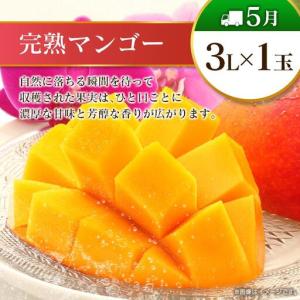 ふるさと納税 【12回定期便】旬 人気 フルー...の詳細画像3