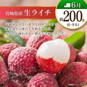 ふるさと納税 【12回定期便】旬 人気 フルー...の詳細画像4