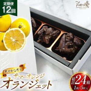ふるさと納税 チョコ オランジェット サマー オ...の商品画像
