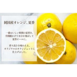 ふるさと納税 チョコ オランジェット サマー ...の詳細画像1