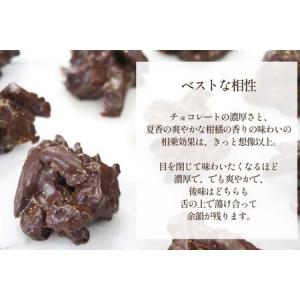 ふるさと納税 チョコ オランジェット サマー ...の詳細画像2