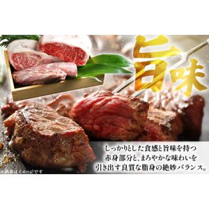 ふるさと納税 和牛 長崎和牛 ステーキ リブロ...の詳細画像2
