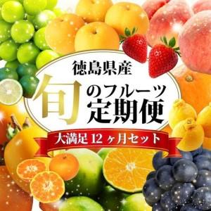 ふるさと納税 フルーツ 定期便 12ヶ月 果物 季節 旬 詰め合せ 徳島県