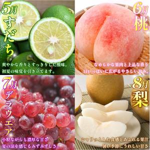 ふるさと納税 フルーツ 定期便 12ヶ月 果物...の詳細画像2