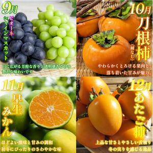 ふるさと納税 フルーツ 定期便 12ヶ月 果物...の詳細画像3