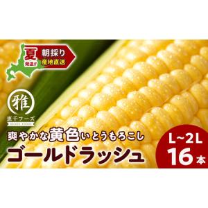 ふるさと納税 2024年夏発送 とうもろこし ゴールドラッシュ L〜2L 16本 北海道千歳市