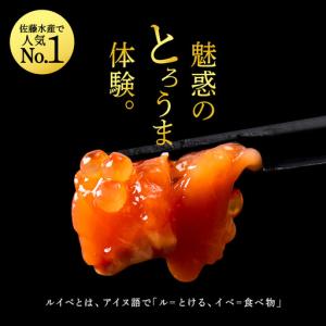 ふるさと納税 【7営業日以内発送】佐藤水産 鮭...の詳細画像2