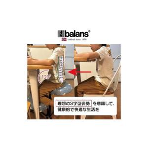 ふるさと納税 バランスチェア N5070 椅子...の詳細画像2