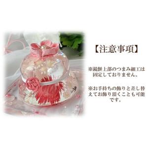 ふるさと納税 【かがみもちりうむ】固まるハーバ...の詳細画像3