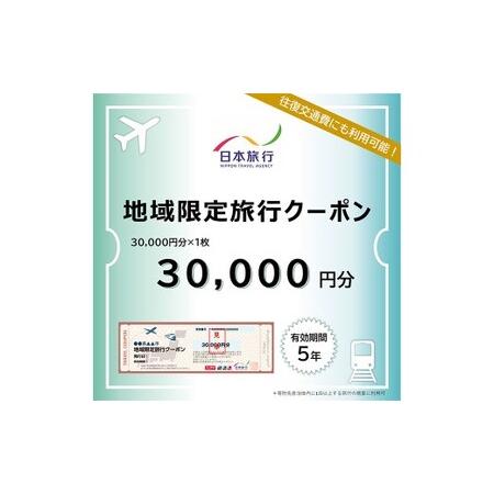 ふるさと納税 福岡県柳川市 日本旅行 地域限定旅行クーポン30,000円分（30,000円分×1枚）...