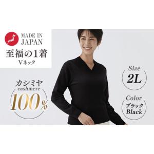 ふるさと納税 日本製 カシミヤ100% レディース Vネック ブラック 2Lサイズ 大阪府泉大津市