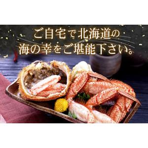 ふるさと納税 ボイル毛蟹800g前後×1尾 F...の詳細画像2