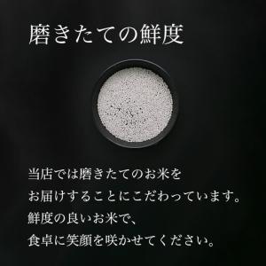 ふるさと納税 【全12回】令和7年 南魚沼産コ...の詳細画像4