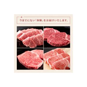 ふるさと納税 AI276 長崎和牛 半頭分買い...の詳細画像4