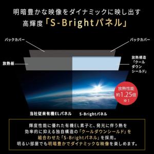 ふるさと納税 テレビ 55型 4K シャープ ...の詳細画像1