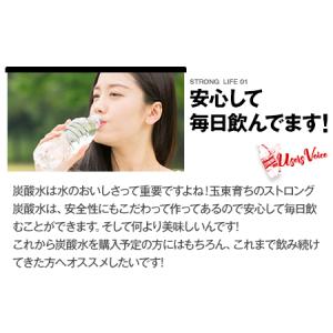 ふるさと納税 炭酸水 ストロング 500ml ...の詳細画像1