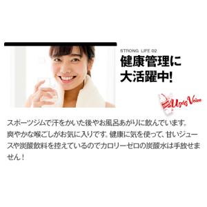ふるさと納税 炭酸水 ストロング 500ml ...の詳細画像2