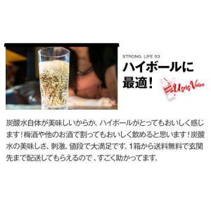 ふるさと納税 炭酸水 ストロング 500ml ...の詳細画像3