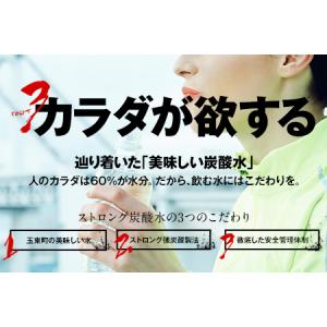 ふるさと納税 炭酸水 ストロング 500ml ...の詳細画像4