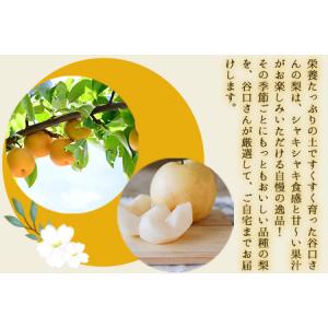 ふるさと納税 谷口農園 梨 約5kg(約6-1...の詳細画像2