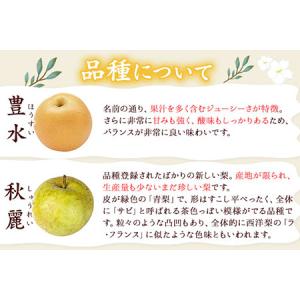 ふるさと納税 谷口農園 梨 約5kg(約6-1...の詳細画像3
