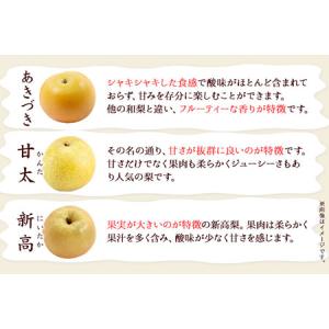 ふるさと納税 谷口農園 梨 約5kg(約6-1...の詳細画像4