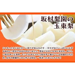 ふるさと納税 坂村梨園 玉東梨 熊本県玉名郡玉...の詳細画像1