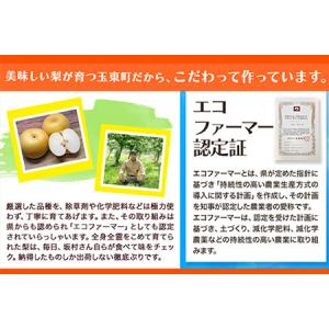 ふるさと納税 坂村梨園 玉東梨 熊本県玉名郡玉...の詳細画像2