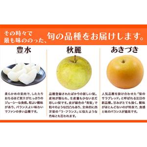 ふるさと納税 坂村梨園 玉東梨 熊本県玉名郡玉...の詳細画像3