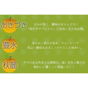 ふるさと納税 さかもと果樹園の玉東梨 約3kg...の詳細画像3