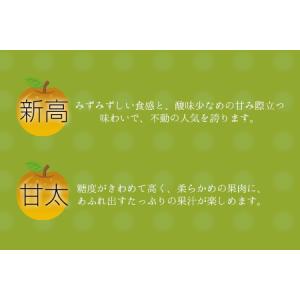 ふるさと納税 さかもと果樹園の玉東梨 約3kg...の詳細画像4