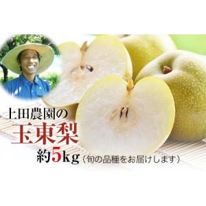 ふるさと納税 先行予約 玉東梨 約5kg 上田農園 梨 熊本県玉東町