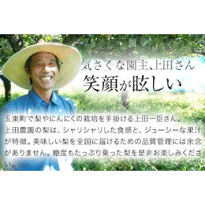 ふるさと納税 先行予約 玉東梨 約5kg 上田...の詳細画像2