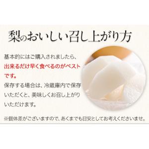 ふるさと納税 先行予約 玉東梨 約5kg 上田...の詳細画像4