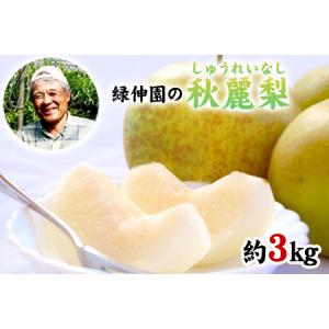 ふるさと納税 熊本県玉東町産『緑伸園』の秋麗梨 期間限定 たっぷり約3kg 5-9玉前後《8月上旬-8月下旬頃出荷》 なし 秋麗 果物 スイーツ フルー.. 熊本県玉東町