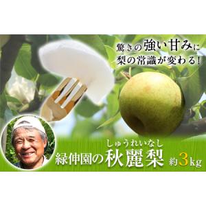 ふるさと納税 熊本県玉東町産『緑伸園』の秋麗梨...の詳細画像1